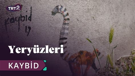 Kaybid Yeryüzleri 16 Bölüm YouTube