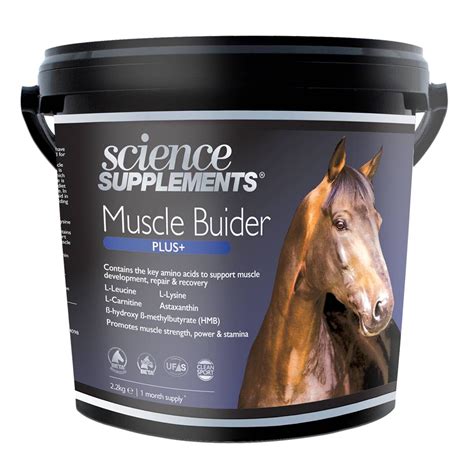 Muscle Builder Supplement for Horses - McTimoney Animal Therapy