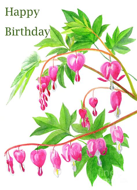 Bleeding Hearts Birthday Card Painting By Sharon Freeman Fine Art America