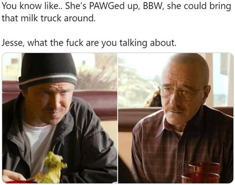 Jesse What The Fuck Are You Talking About Know Your Meme