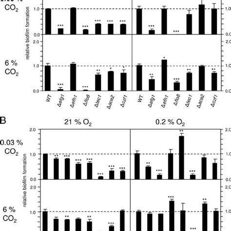 C Albicans Biofilm Formation In Polystyrene Cell Culture Wells A Download Scientific