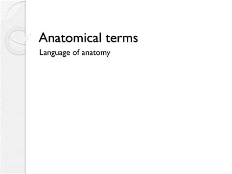 Anatomical Terms Language Of Anatomy Ppt Download