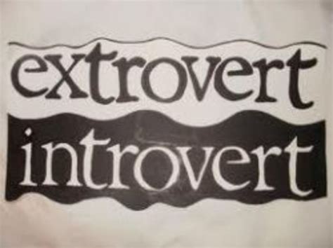 Are You An Introvert Or An Extrovert HubPages