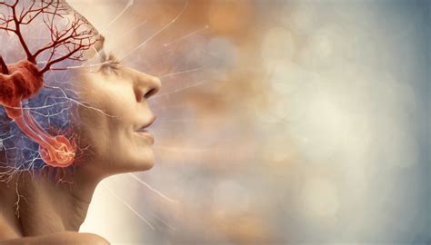 Lou Lingerie Lou lingerie le chic français au féminin