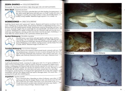 Guide to Sea Fishes of Australia: A Comprehensive and Practical ...