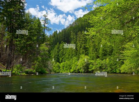 North Umpqua Wild And Scenic River Umpqua National Forest Rogue