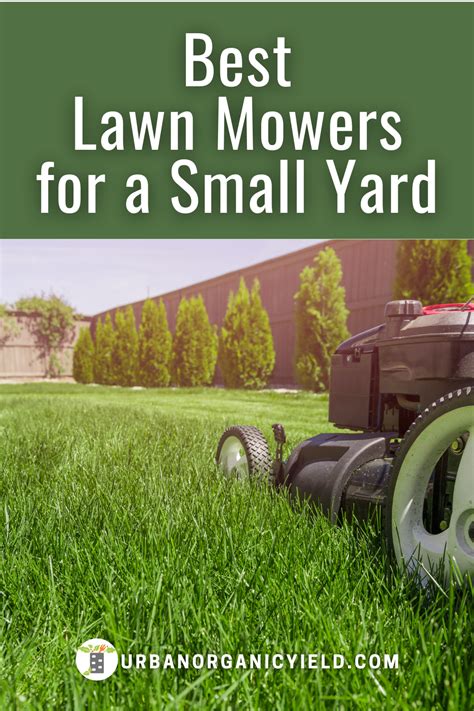 Best Lawn Mowers For Your Backyard Artofit