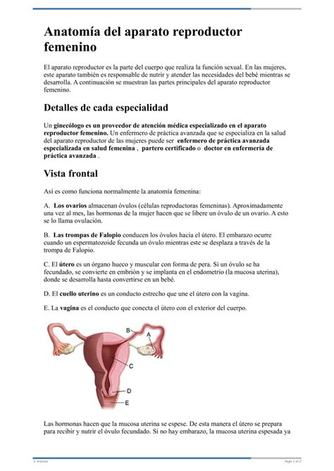 Text Anatomía del aparato reproductor femenino HealthClips Online