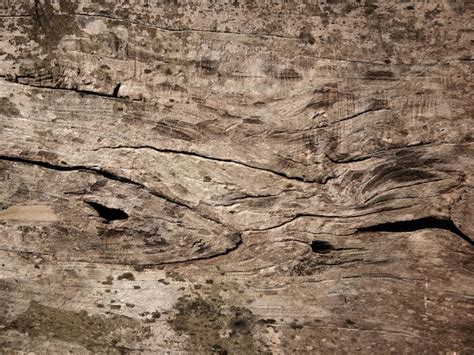 Vieux Plancher En Bois Pour La Conception Graphique Ou Les Fonds D