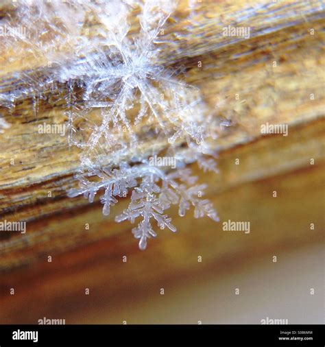 Snowflake close up Stock Photo - Alamy