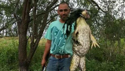 Did this man kill the world's largest frog? | Newshub