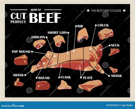 Poster Butcher Diagram And Scheme Cow Cut Of Meat Set Vector