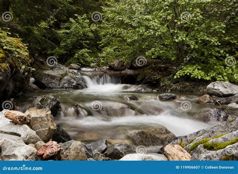 A Small Stream In The Central Washington Cascade Mountains Stock Image