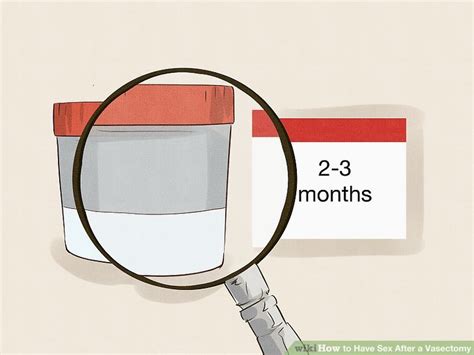 8 Easy Ways To Have Sex After A Vasectomy WikiHow