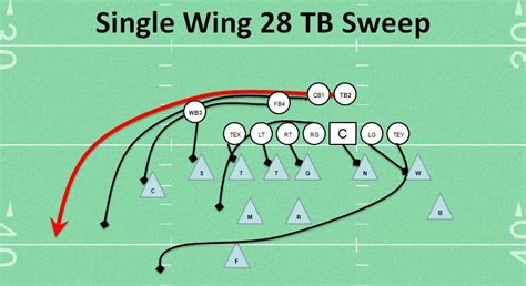 Single Wing Beast Formation Playbook Guru Pintar