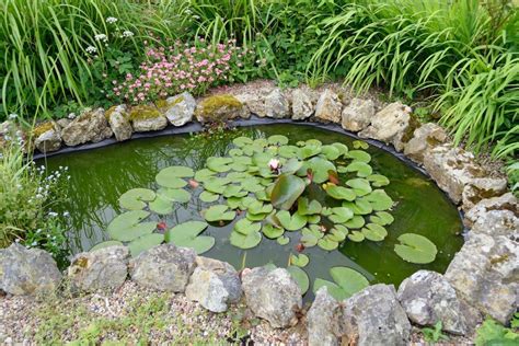 Bassin De Jardin Plantes Aquatiques Creer Un Mini Bassin En 2 Heures