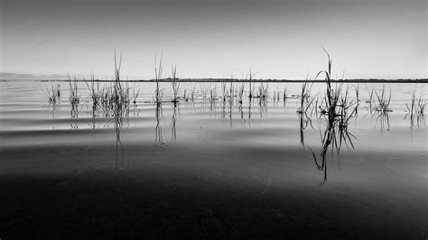 Black And White Imagery Bacalao Photo