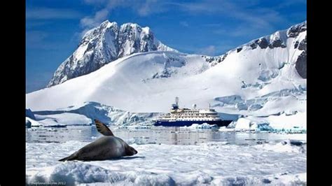 Psychic Focus On What Is Past Antarctica