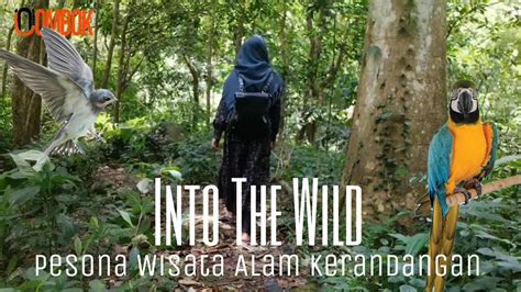 Hutan Tersembunyi Di Senggigi Pesona Taman Wisata Alam Kerandangan