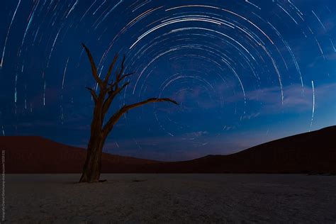 "Startrails In Deadvlei, Sossusvlei Namib-Naukluft Park" by Stocksy ...