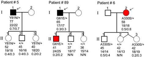 Pedigrees Of Two Cases Diagnosed With Poag And Case Diagnosed With