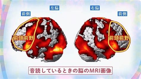 毎日800字の音読が記憶力と判断力を上げてイライラも取り去る｜山下純子