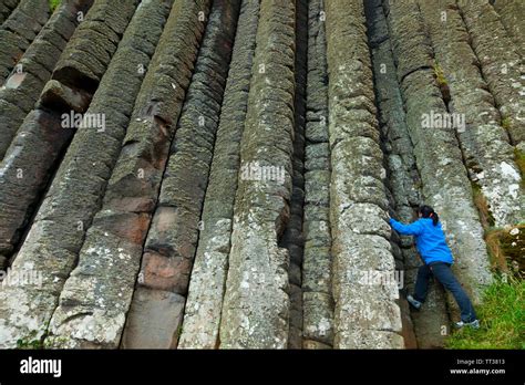 Giants Organ Giants Causeway Hi Res Stock Photography And Images Alamy