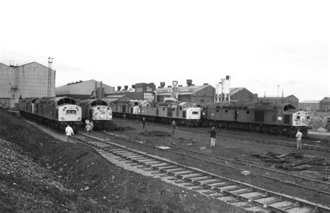 Crewe Works Class 40 Locomotives Awaiting Scrapping At Cr Flickr