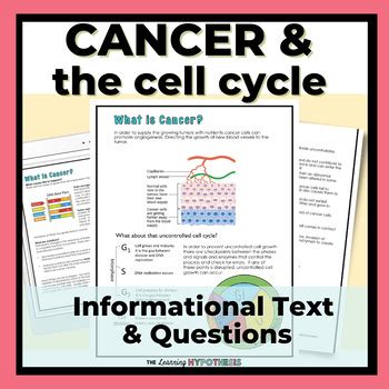 Cell Cycle And Cancer Worksheet Packet Digital And Print TpT