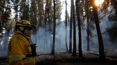 Alerta Roja Por Incendio Forestal En Monte Patria Al Menos 30 Casas