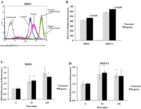 Fenretinide Induces Ros Production In Both Normoxia And Hypoxia A