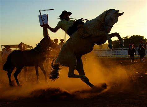Rodeo Desktop Wallpaper