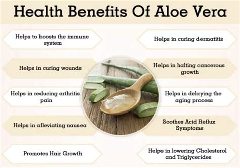 21 Inner Fillet Aloe Vera Juice Benefits - Healthy Huemans