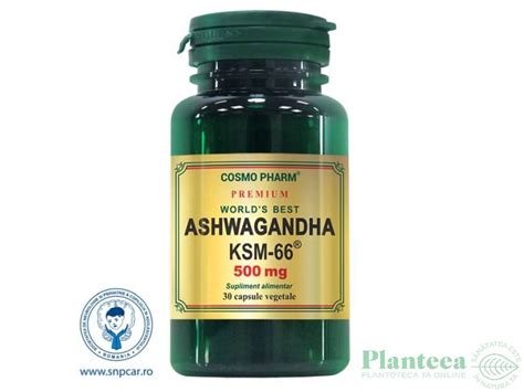 Ashwagandha KSM66 500mg Premium 30cps Cosmo Pharm Pret 70 4 Lei