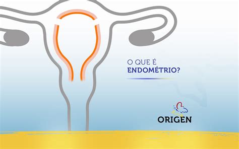 O Que é Endométrio Clínica Origen Fertilização In Vitro