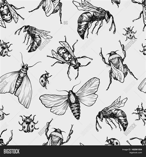 Insects Pattern Vector And Photo Free Trial Bigstock