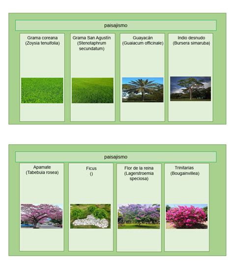 Nombre De Planta Cientificos Pdf