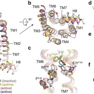 Activation mechanism of bradykinin receptors. a, b, Structural... | Download Scientific Diagram