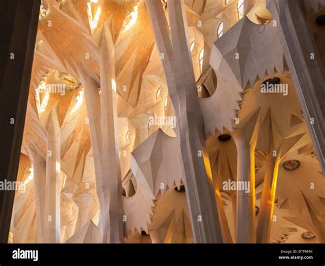 Sagrada Familia Interior Detail Fotos Und Bildmaterial In Hoher