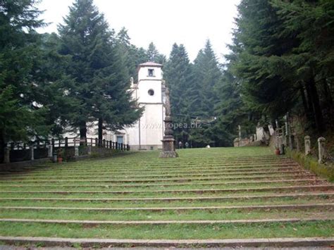 Escursione A Serra San Bruno Hotel Damanse