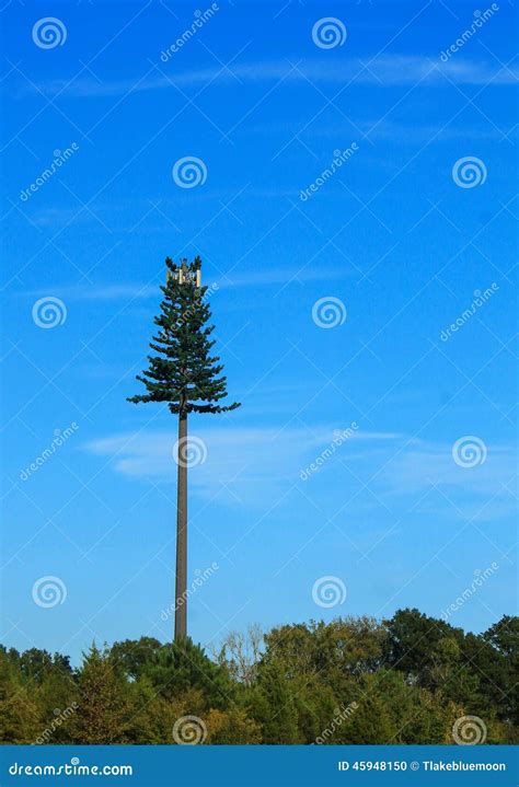 fake tree cell tower  nc stock photo image  laugh
