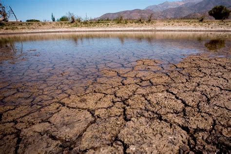 Productores Cooperativos En Alerta Por La Sequ A En Argentina Coninagro