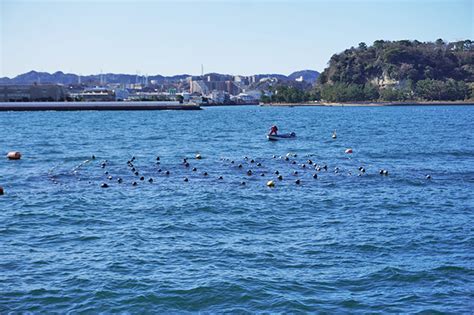 昆布養殖のsosに「銭湯」が味方？ 横浜「ぶんこのこんぶ」 ニッポン放送 News Online