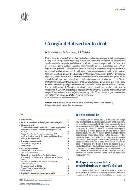 Cirugia Del Diverticulo Ileal G Aldo UDocz