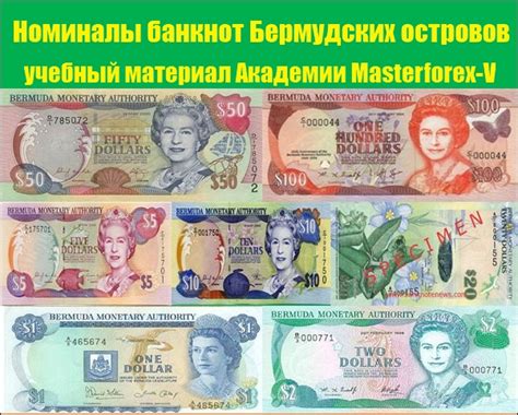 Банкноты (купюры) Бермудских островов в обзоре Masterforex-V