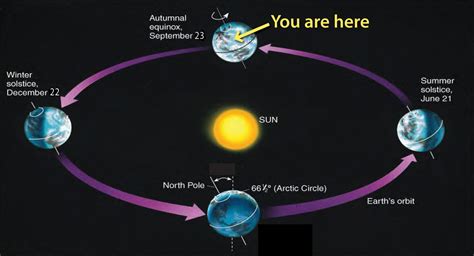 Photoperiodism WHOLEDUDE WHOLE PLANET