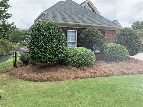 Mulch Pine Straw Landscape Rock Carrolton GA Edging Installers