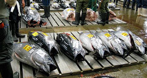 Japan To Enforce Stricter Regulations On Pacific Bluefin Tuna Fishing