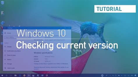 Windows Tutorial Check If Your Pc Is Running Fall Creators Update