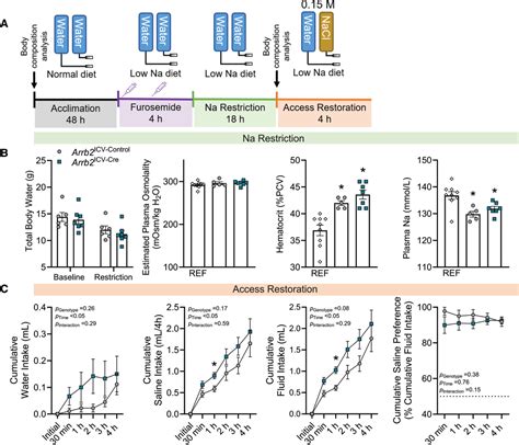 Genetic Deletion Of β Arrestin 2 From The Subfornical Organ And Other